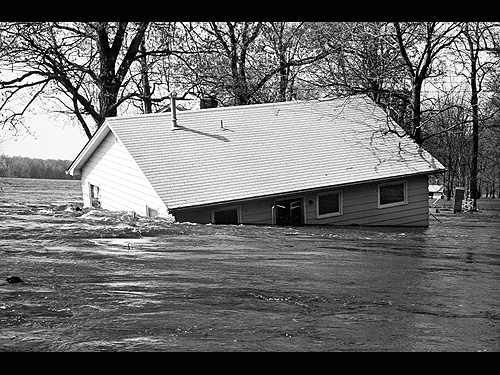 flood196524